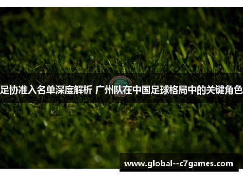 足协准入名单深度解析 广州队在中国足球格局中的关键角色 足协准入名单深度解析 广州队在中国足球格局中的关键角色