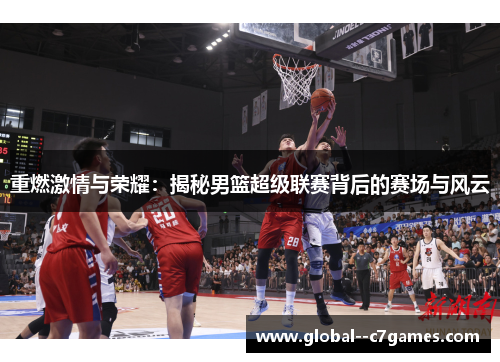 重燃激情与荣耀：揭秘男篮超级联赛背后的赛场与风云